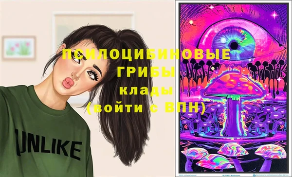 бутират Баксан
