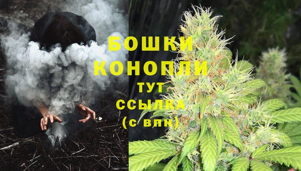 бутират Баксан